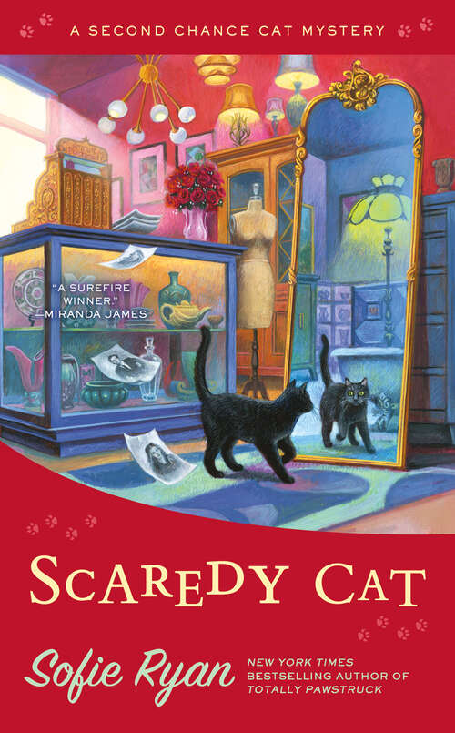 Book cover of Scaredy Cat (Second Chance Cat Mystery #10)