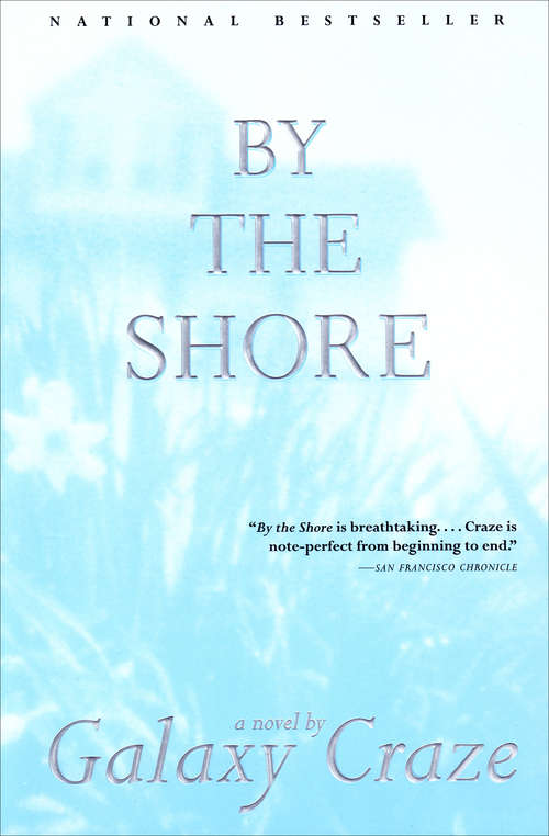 Book cover of By the Shore: A Novel