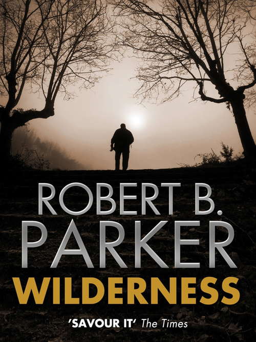 Book cover of Wilderness: A Novel