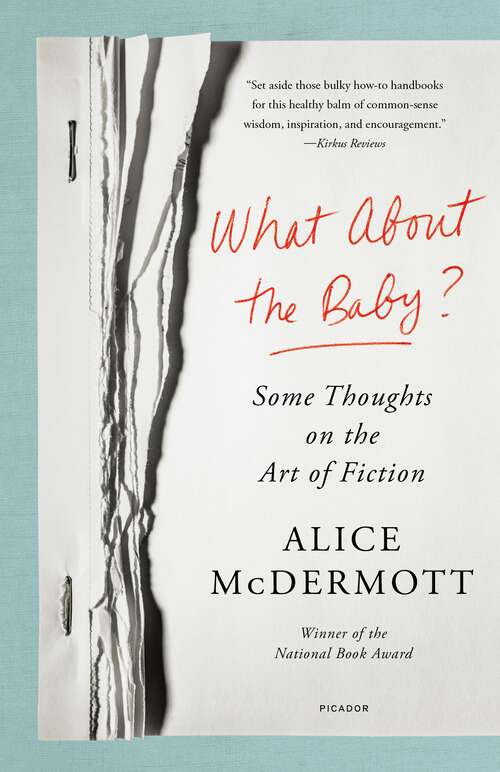 Book cover of What About the Baby?: Some Thoughts on the Art of Fiction