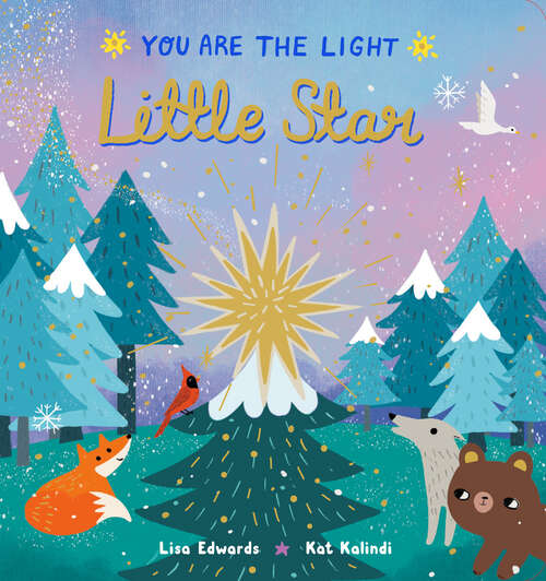 Book cover of Little Star (You are the Light)