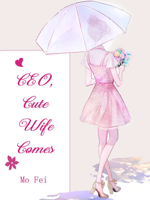 Book cover of CEO, Cute Wife Comes: Volume 1 (Volume 1 #1)