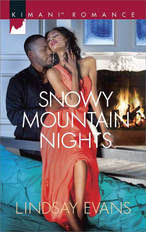 Book cover of Snowy Mountain Nights