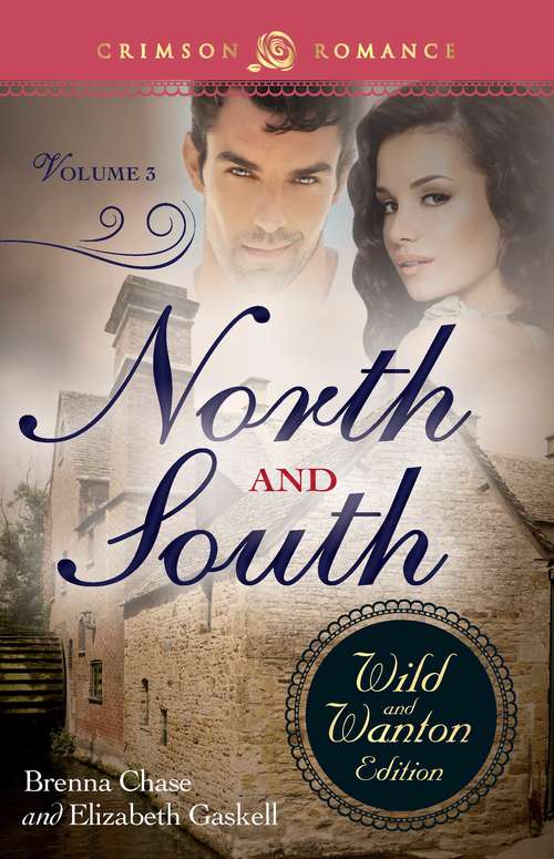 Book cover of North And South: The Wild And Wanton Edition Volume 3