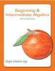 Book cover of Beginning & Intermediate Algebra (Fifth Edition)