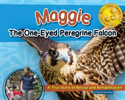 Book cover of Maggie The One-Eyed Peregrine Falcon: A True Story Of Rescue And Rehabilitation (Wildlife Rescue Stories Ser.)