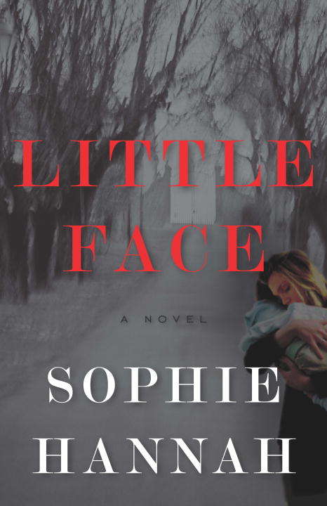 Book cover of Little Face