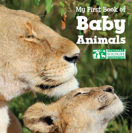 Book cover of My First Book of Baby Animals (National Wildlife Federation)