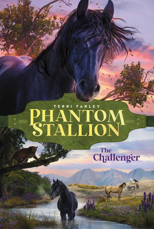 Book cover of The Challenger: The Challenger (Phantom Stallion #6)