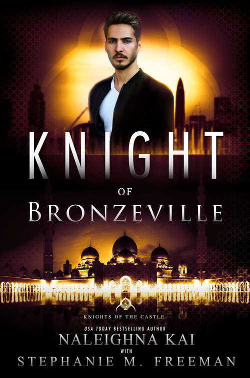 Book cover of Knight of Bronzeville (Knights of the Castle #2)