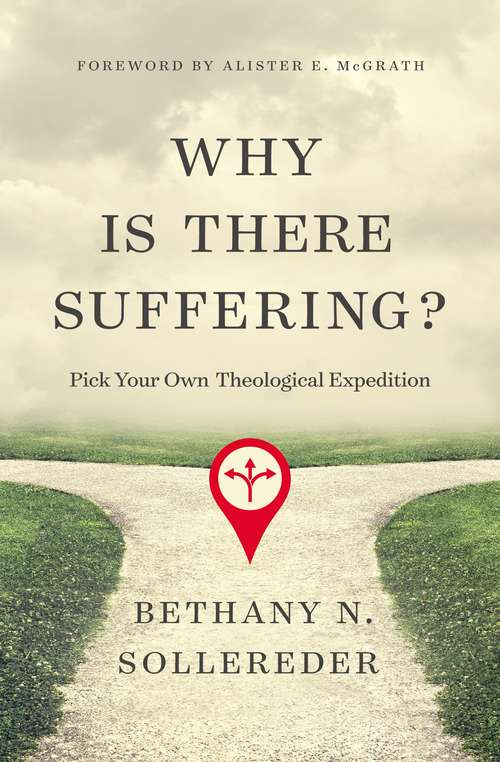 Book cover of Why Is There Suffering?: Pick Your Own Theological Expedition