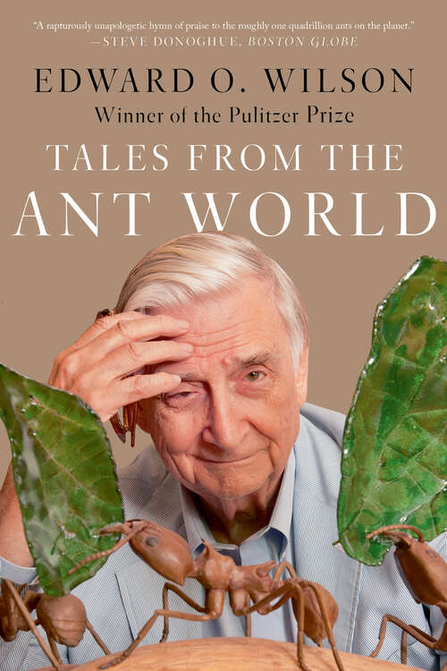 Book cover of Tales from the Ant World