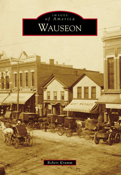 Book cover of Wauseon