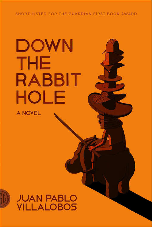 Book cover of Down the Rabbit Hole: A Novel