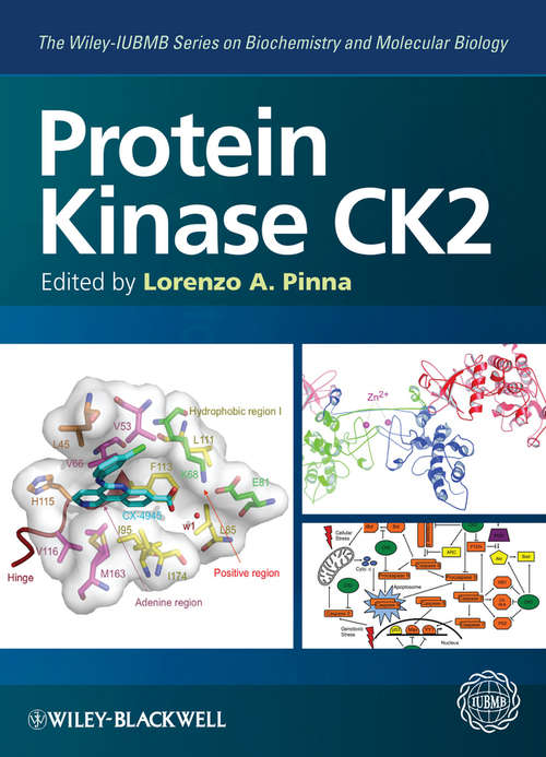 Book cover of Protein Kinase CK2