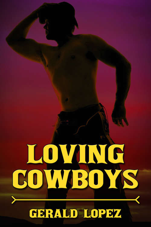 Book cover of Loving Cowboys