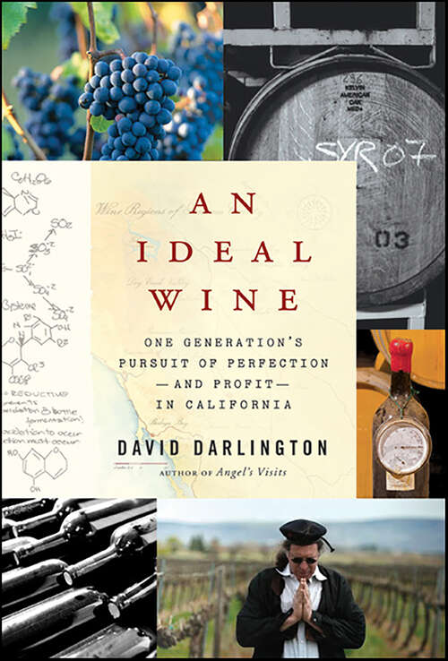 Book cover of An Ideal Wine: One Generation's Pursuit of Perfection—and Profit—in California