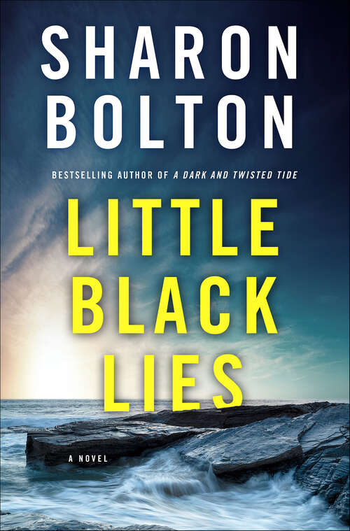 Book cover of Little Black Lies: A Novel