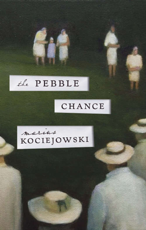 Book cover of The Pebble Chance