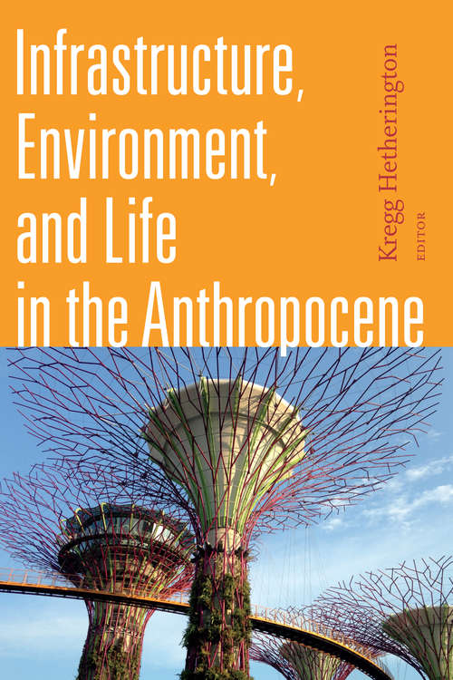 Book cover of Infrastructure, Environment, and Life in the Anthropocene (Experimental Futures)