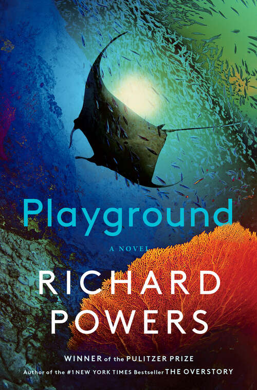 Book cover of Playground