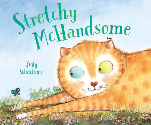 Book cover of Stretchy McHandsome